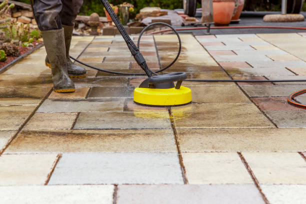 Best Animal Enclosure Cleaning  in Highspire, PA